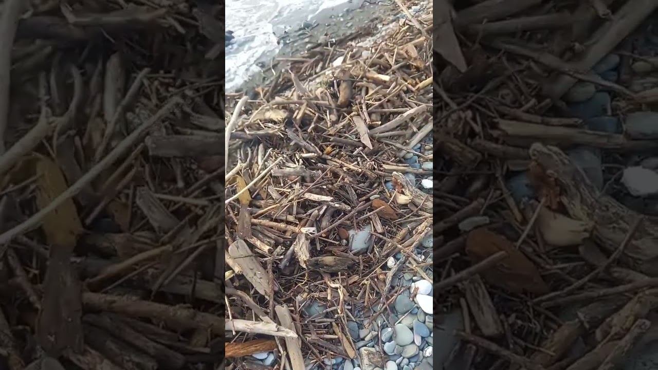 Море после шторма, Сочи. #сочи #адлер #море