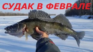 КАК ЛОВИТЬ СУДАКА на БЛЕСНУ в ФЕВРАЛЕ? МЕСТА и ВРЕМЯ для ЛОВЛИ СУДАКА! СНАСТИ для РЫБАЛКИ ЗИМОЙ