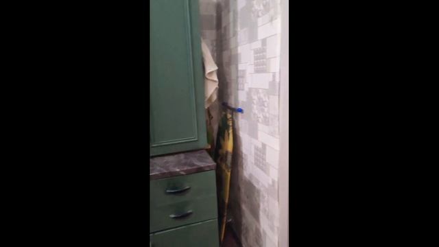 video_2026-02-04_14-44-11