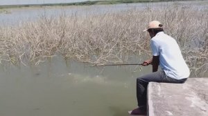 ЛОВЛЯ КРУПНЫХ РЫБ