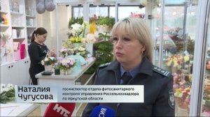 Проверки растений на наличие вредителей ведут сотрудники Россельхознадзора в Иркутске