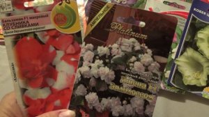 2190. Какие цветы посеять в январе, феврале?