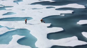 В МИД заявили о защите интересов России в Арктике