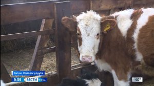 09:30 ВЕСТИ САХА 04/02/26 НА ЯКУТСКОМ ЯЗЫКЕ