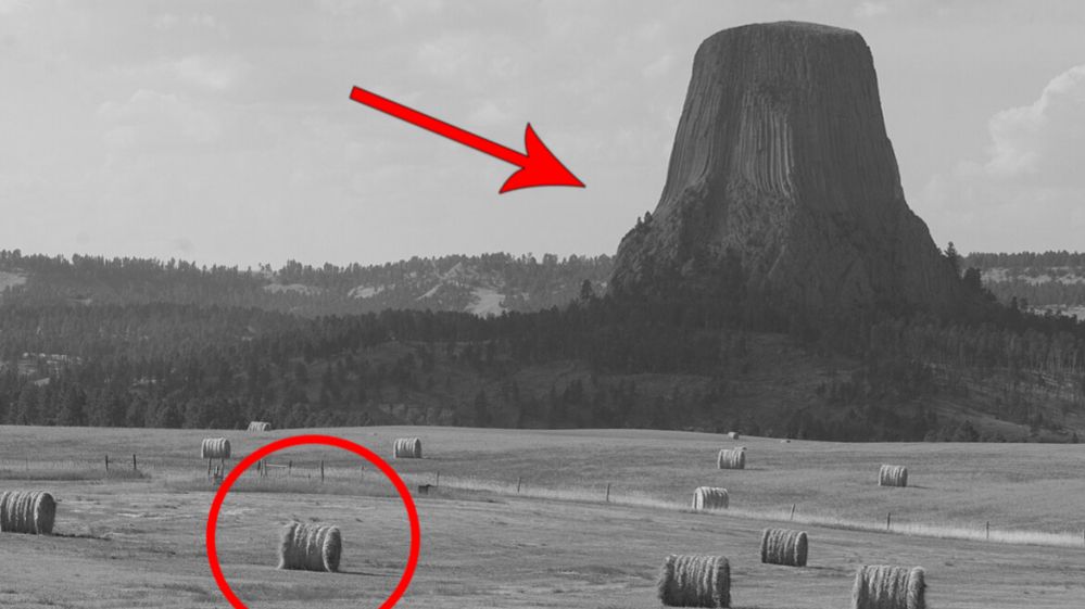 ⚡ТАЙНА окаменевших ДЕРЕВЬЕВ ... смотреть онлайн