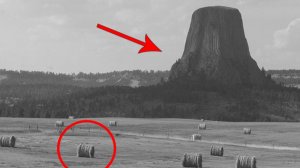 ⚡ТАЙНА окаменевших ДЕРЕВЬЕВ ...