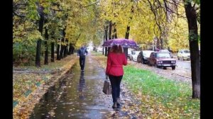 Опять поссорился с женой - стихи Виктора Левашова, Ярославль.