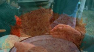 капустки 2023