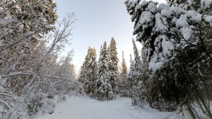 В Ханты-Мансийске нашли тело пропавшего подростка