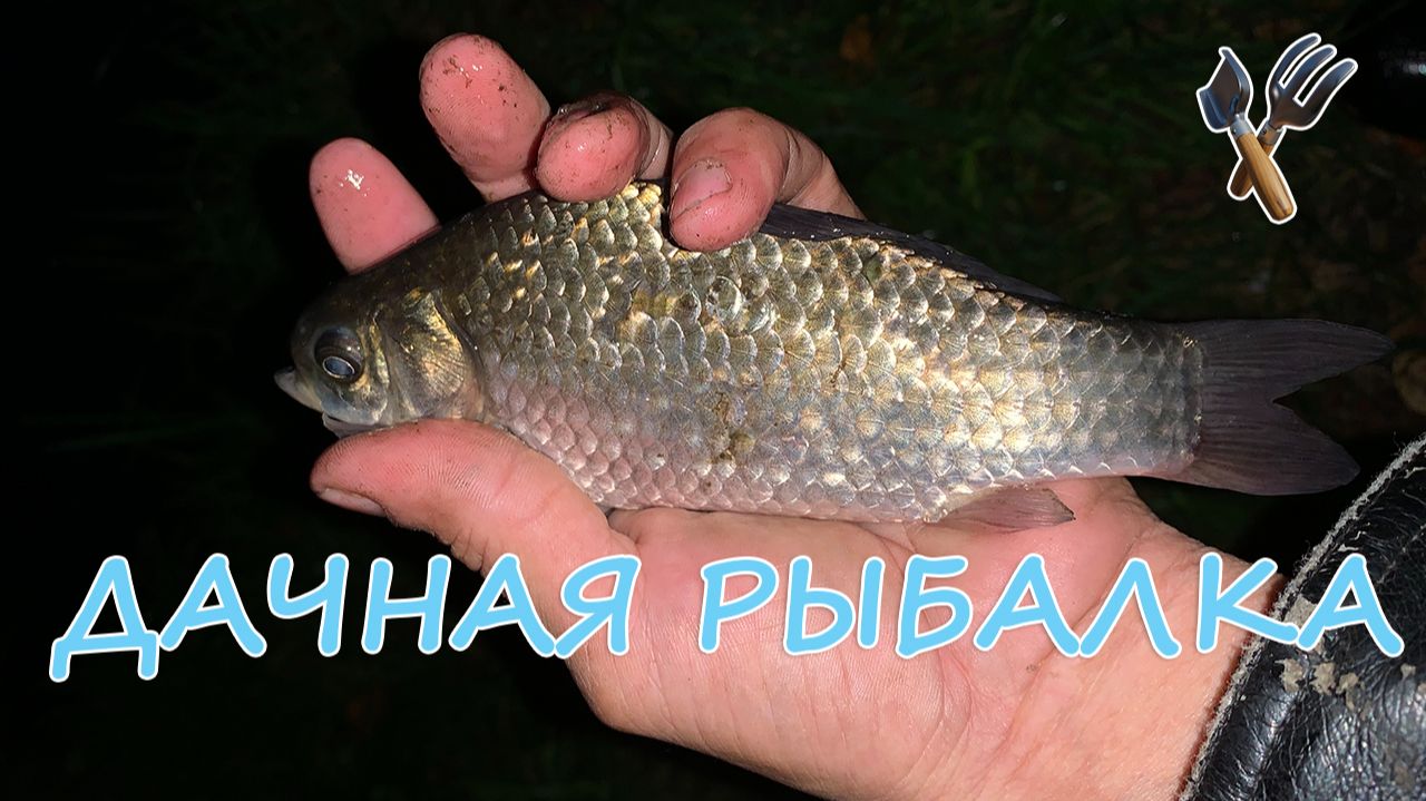 Дачная рыбалка