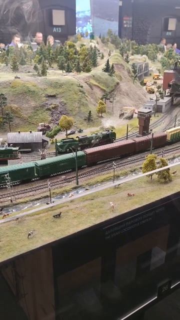 1000009521.mp4Санкт-Петербург.04.02.2026г.