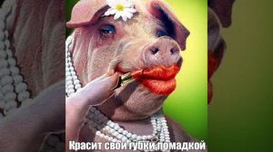 ОБЗОР ПОДКАСТ НА КАНАЛ Ж.П.И.Р.И ЖЕНЩИНА ПО ИМЕНИ РИММА