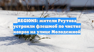 REGIONS: жители Реутова устроили флешмоб по чистке ковров на улице Молодежной