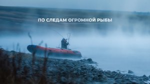 По следам огромной рыбы | С полем!