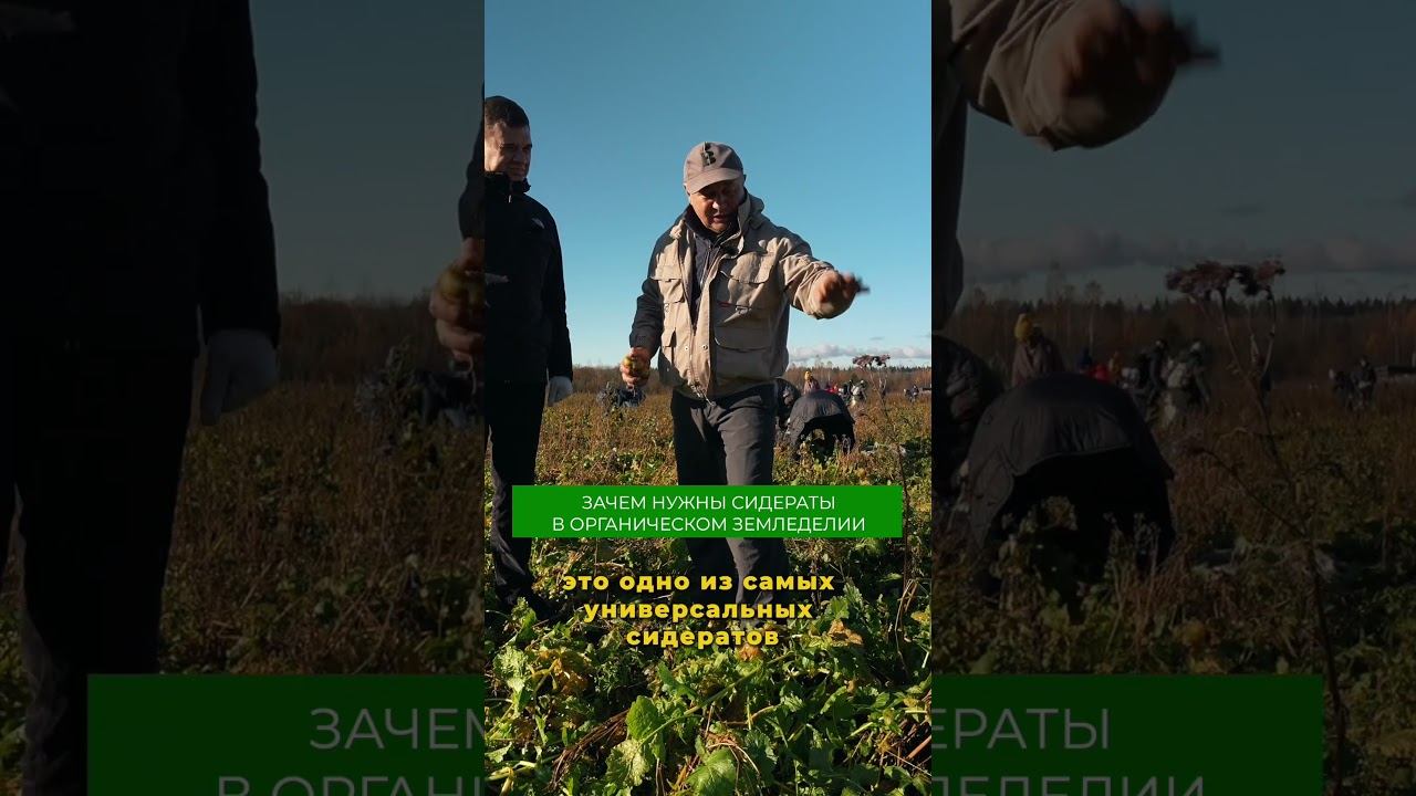 Подробнее про органическое фермерство смотрите на канале #ферма #овощеводство #огород смотреть онлайн