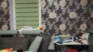 Мой день рождения всё как всегда супер.31.01.26