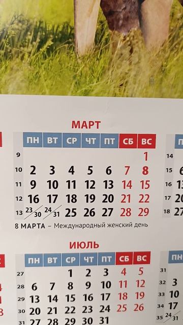 35/365 смотреть онлайн