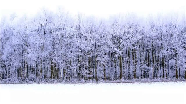 Загадка 4 февраля. Сила важного дня месяца. смотреть онлайн