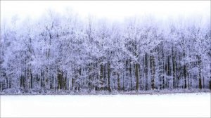 Загадка 4 февраля. Сила важного дня месяца.