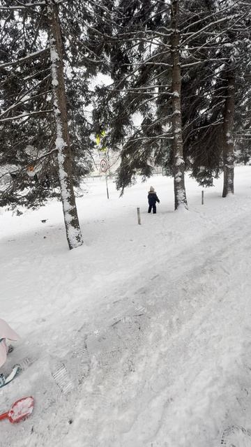 Вот Вам погода в Нальчике. А вчера еще было плюс 14 тепла
