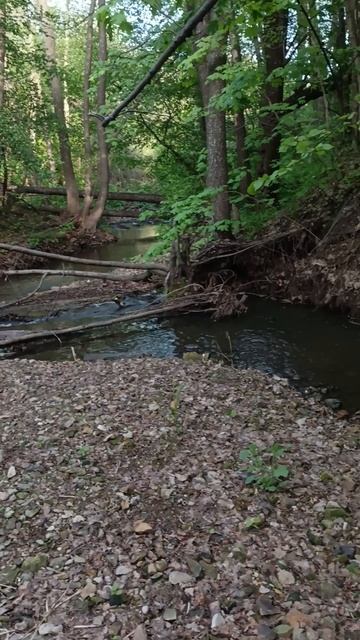 09.05.2025год.mp4