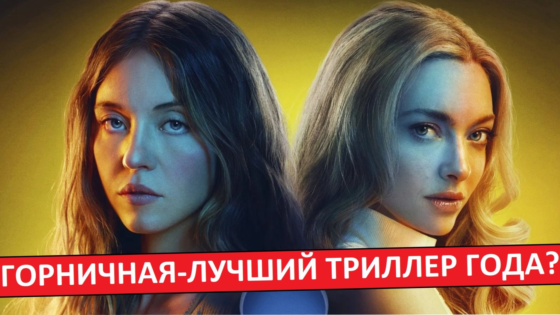 Горничная — лучший триллер года? Обзор фильма. Горничная — лучший триллер года? Обзор фильма.