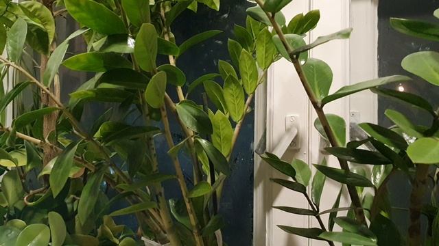 Уж близок час…