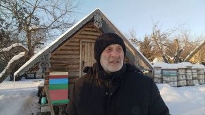 как предупредить слёт пчёл на пасеке