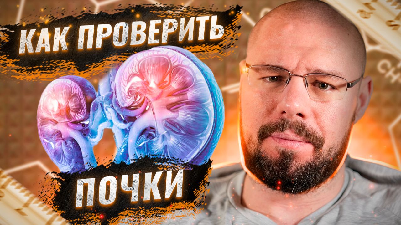 Как проверить работу почек на курсе, ГЗТ если активно тренируетесь | Креатитин и Цистатин С