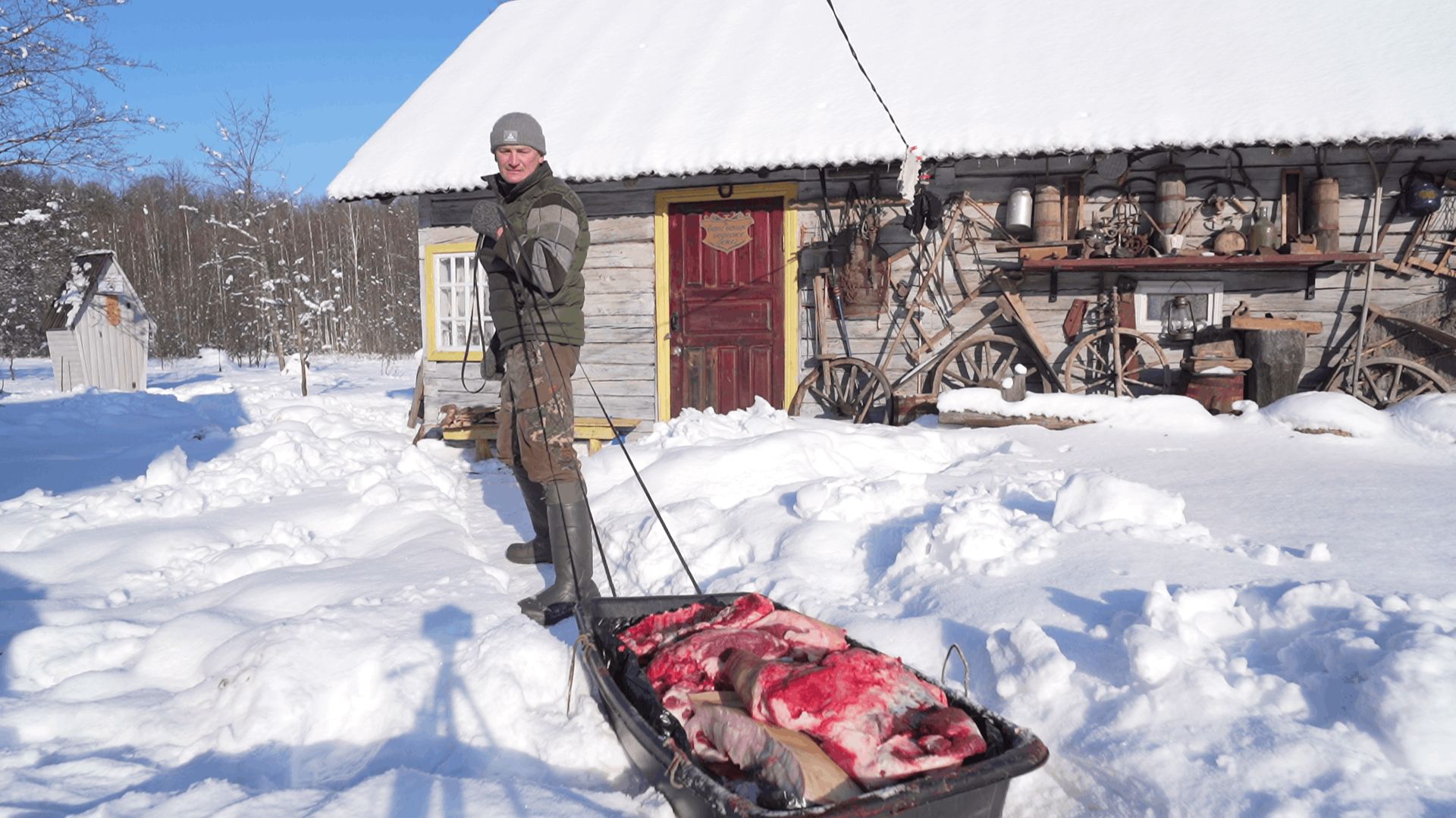 ЗАВАЛИЛ КАБАНА , ХВАТИТ НА ГОД . ВОЛКИ ЖРУТ СОБАК в ДЕРЕВНЕ!!! №377 смотреть онлайн