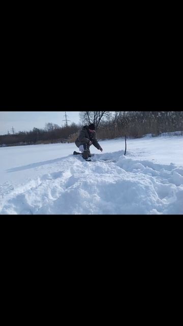 В глухозимье и это в радость.