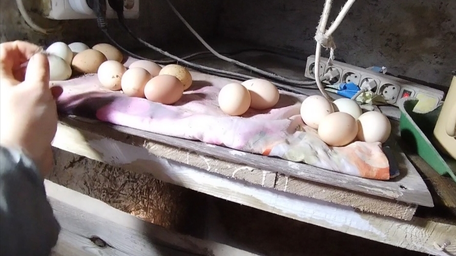 04-02-2026 Каждый день одно и тоже / хозяйство / куры / козы. смотреть онлайн