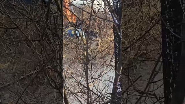 🔵 TFSQ160 Мощный лесной мульчер @OSMAMULCHERS на мощные экскаваторы 20-28тн до 250лс