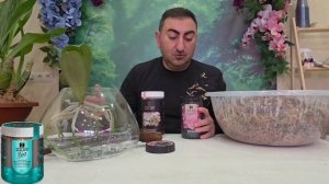 К каждой орхидее нужен свой подход!