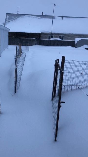 Утро начинается не с кофе. Снегопад