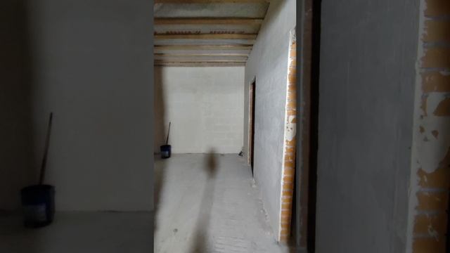 petal_20260204_191946.mp4