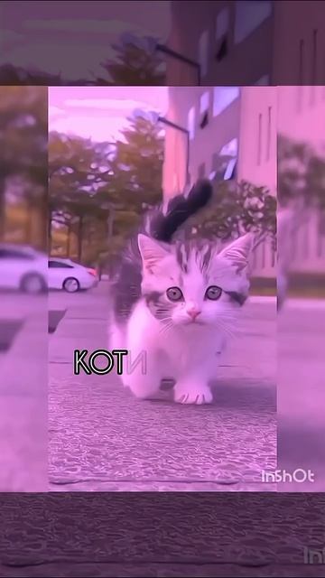 Алексей рыбак котик🩷