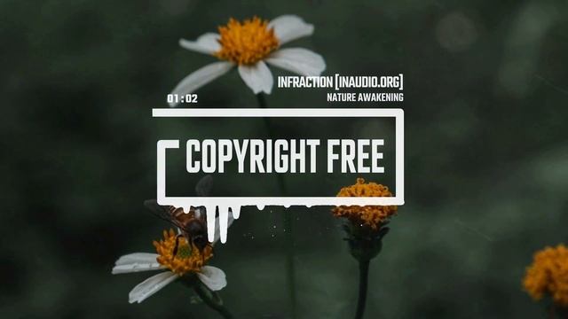 Cinematic Documentary Drone by Infraction [No Copyright Music] ⧸ Nature Awakening