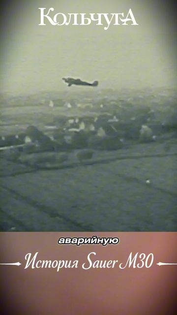 Sauer M30 — Необычное ружье XX века