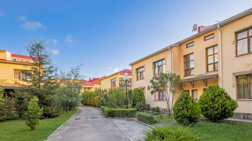 Орхидея парк Альфагид