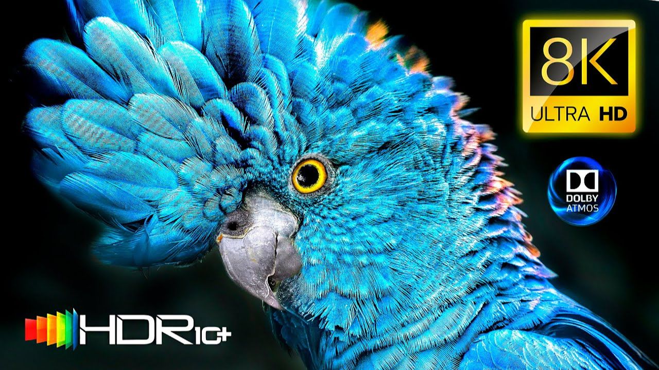 BEST 8K Video | Dolby Vision | 8K HDR 120FPS BEST 8K Video | Dolby Vision | 8K HDR 120FPS