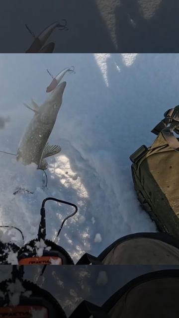 Щука на китайский ратлин