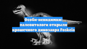 Особи-невидимки: палеонтологи открыли крошечного динозавра Foskeia