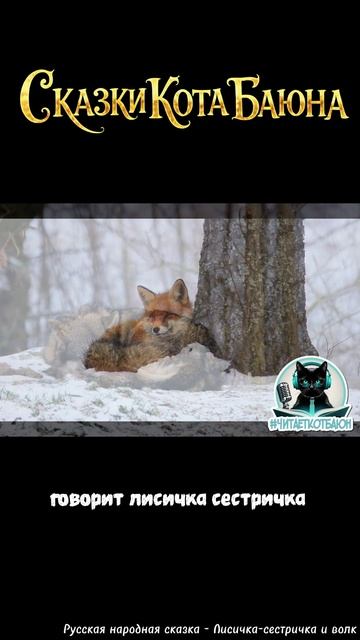 СКАЗКИ КОТА БАЮНА. Русская народная сказка "Лисичка-сестричка и волк" #сказкикотабаюна  #сказки