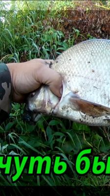 Уже собрался домой, а ЛЕЩИ все клюют и клюют. Ловля леща на реке Ока.