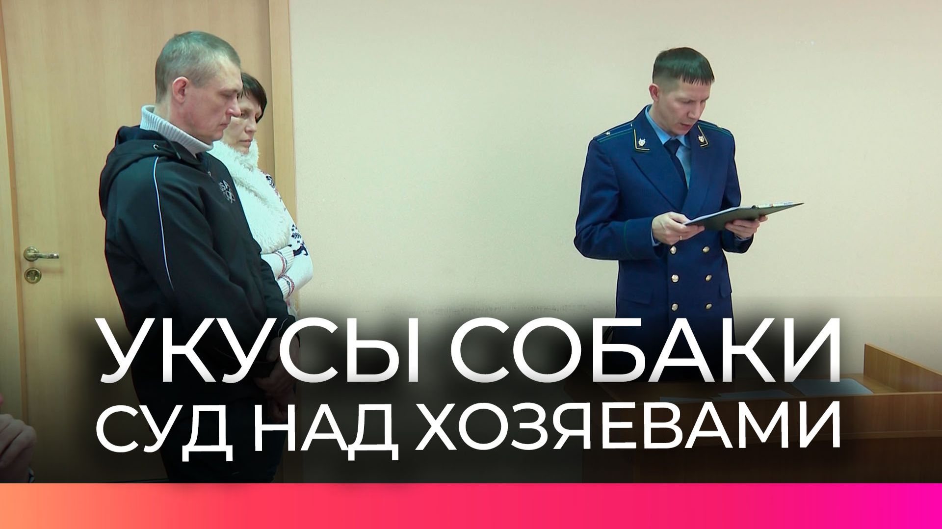 Новгородское дело о нападении собаки на ребёнка начали рассматривать в мировом суде смотреть онлайн
