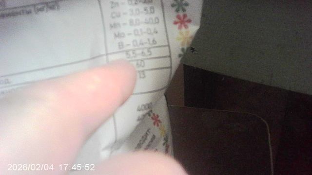 Приобрёл специальный грунт для очередной попытки посадки рассады