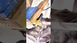 Искусные в ремесле подобны источнику золота.