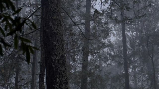 Музыка на фон, для учебы, работы, отдыха. Музыка в машину. 2026. ФОНК, РЭП, МУЗЫКА