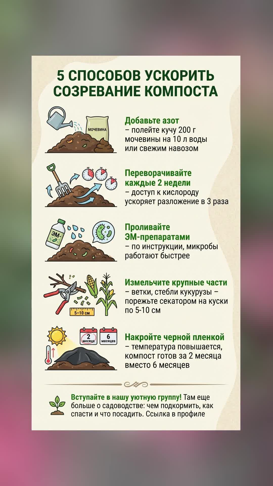 Как ускорить созревание компоста